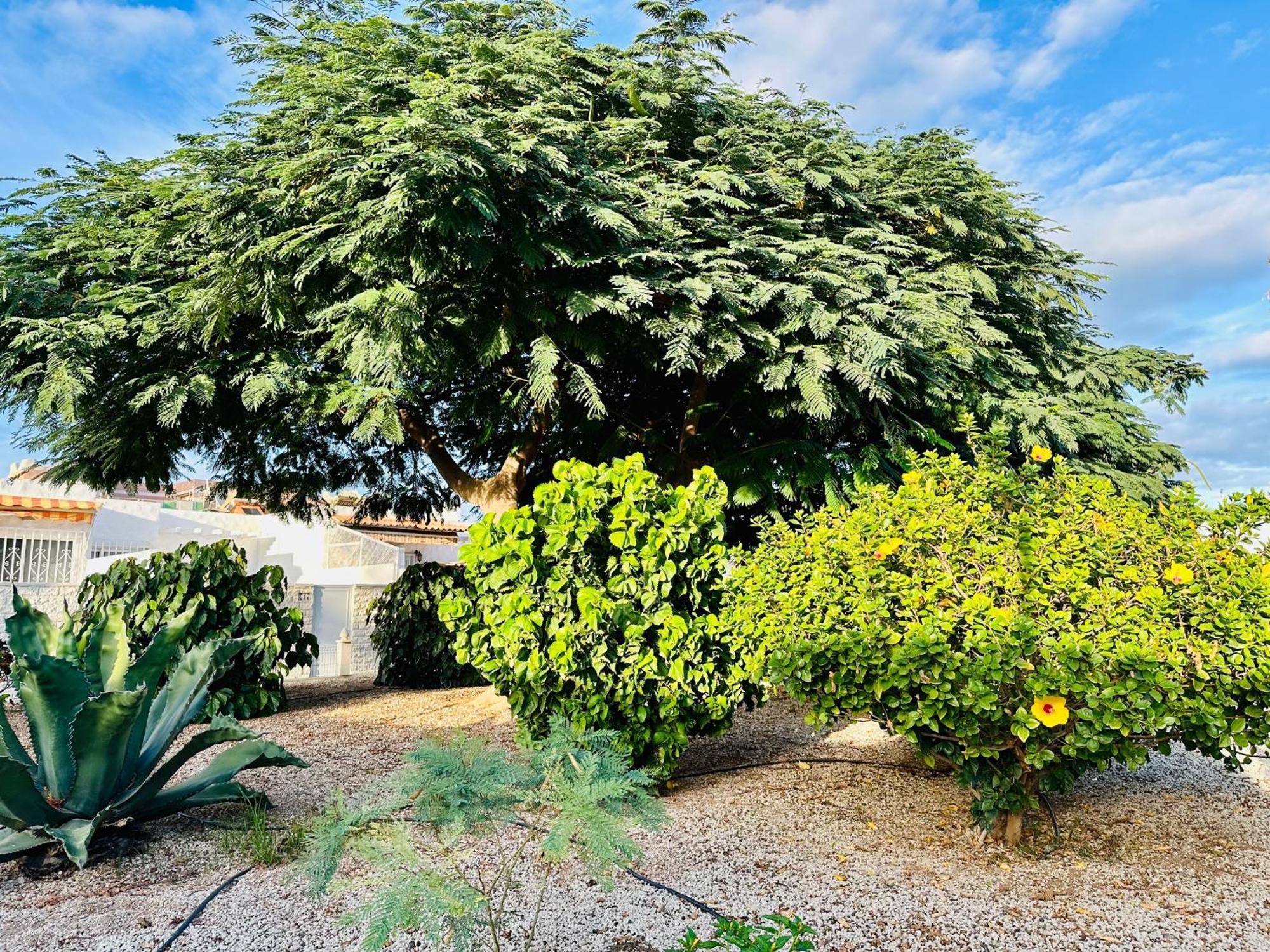 Casa Una Bungalow Delux Arona  Exterior photo